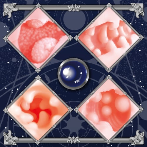 Astrologer Atelier Onahole 41 