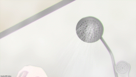 Chained Soldier Episode 4 Yachiho Freezes Time In Shower