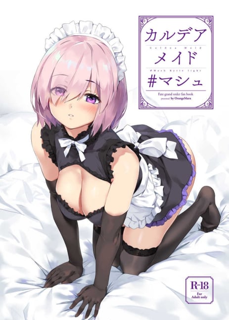 Chaldea Maid Mash Kyrie Light Fate Grand Order Fan Book