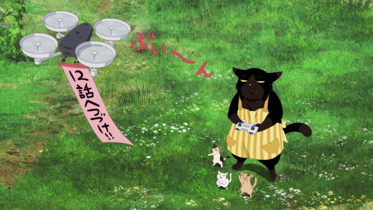 Dekiru Neko Wa Kyou Mo Yuuutsu Episode 11 Yukichi Plays With Kittens top best anime 