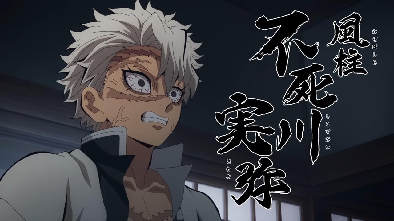 Demon Slayer Hashira Training Arc PV1 13