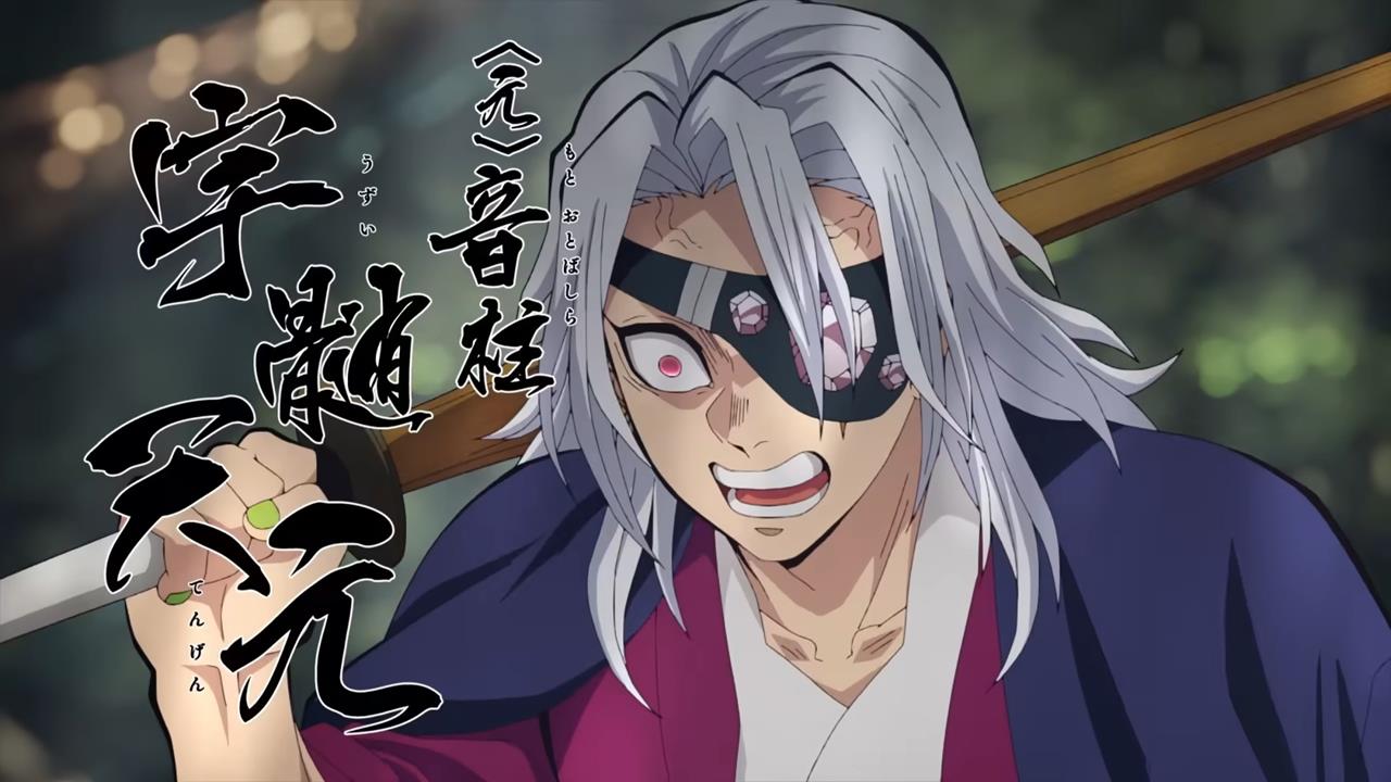 Demon Slayer Hashira Training Arc PV1 8