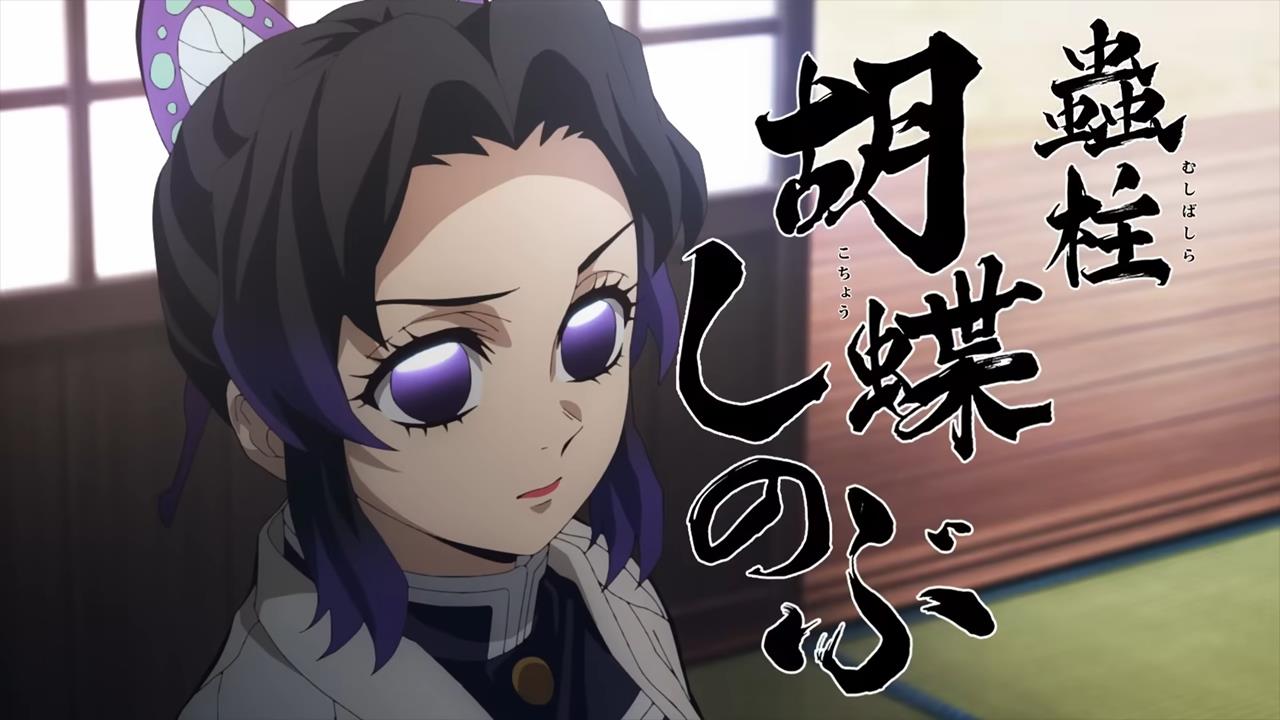 Demon Slayer Hashira Training Arc PV1 9