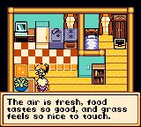 Himes Quest Screenshot 8