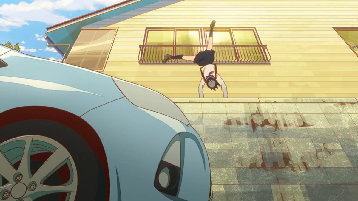 Nanare Hananare PV2 24