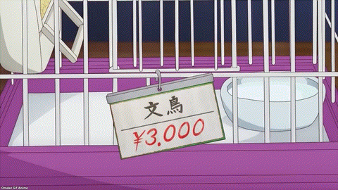 Sasaki And Peeps PV1 Java Sparrow