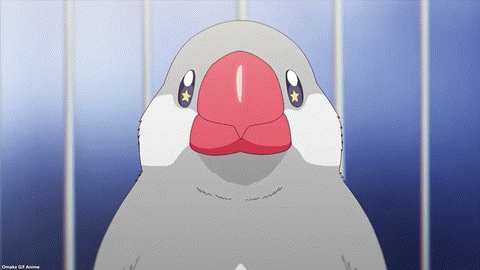 Sasaki And Peeps PV1 P Chan Kills Sasaki With Cuteness Kantoku Designs