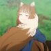 Spice And Wolf Merchant PV1 8