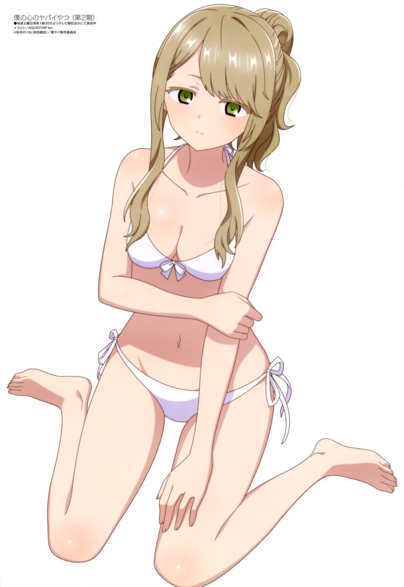 boku No Kokoro No Yabai Yatsu megami magazine