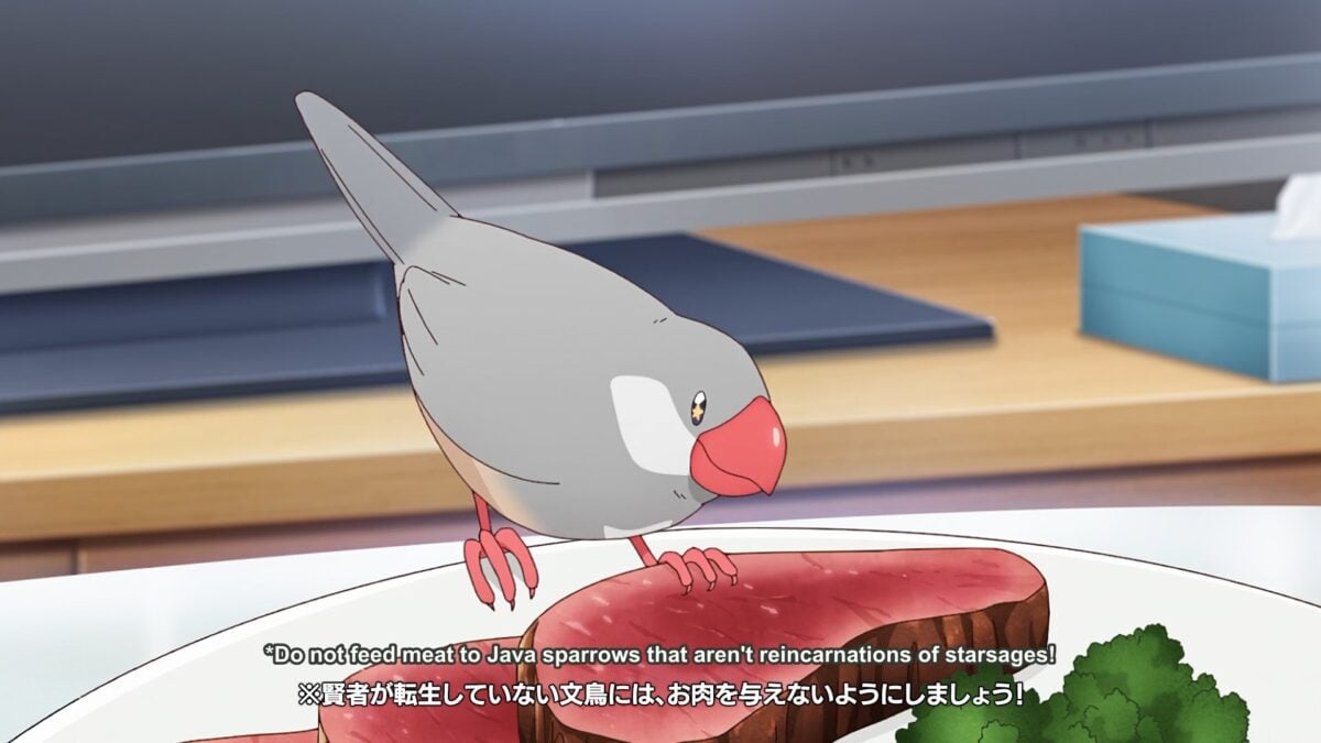 Do Not Feed Sparrows That Arent Reincarnations Of Starsages