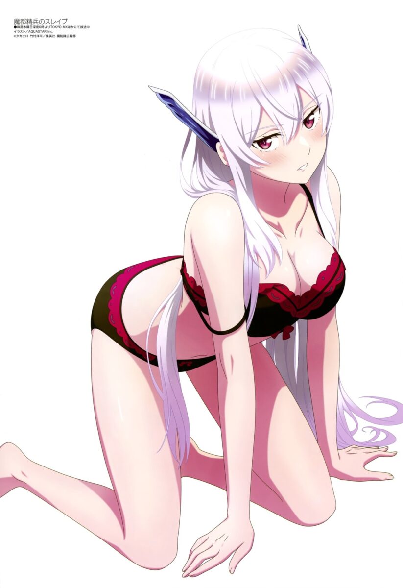 Mato Seihei No Slave