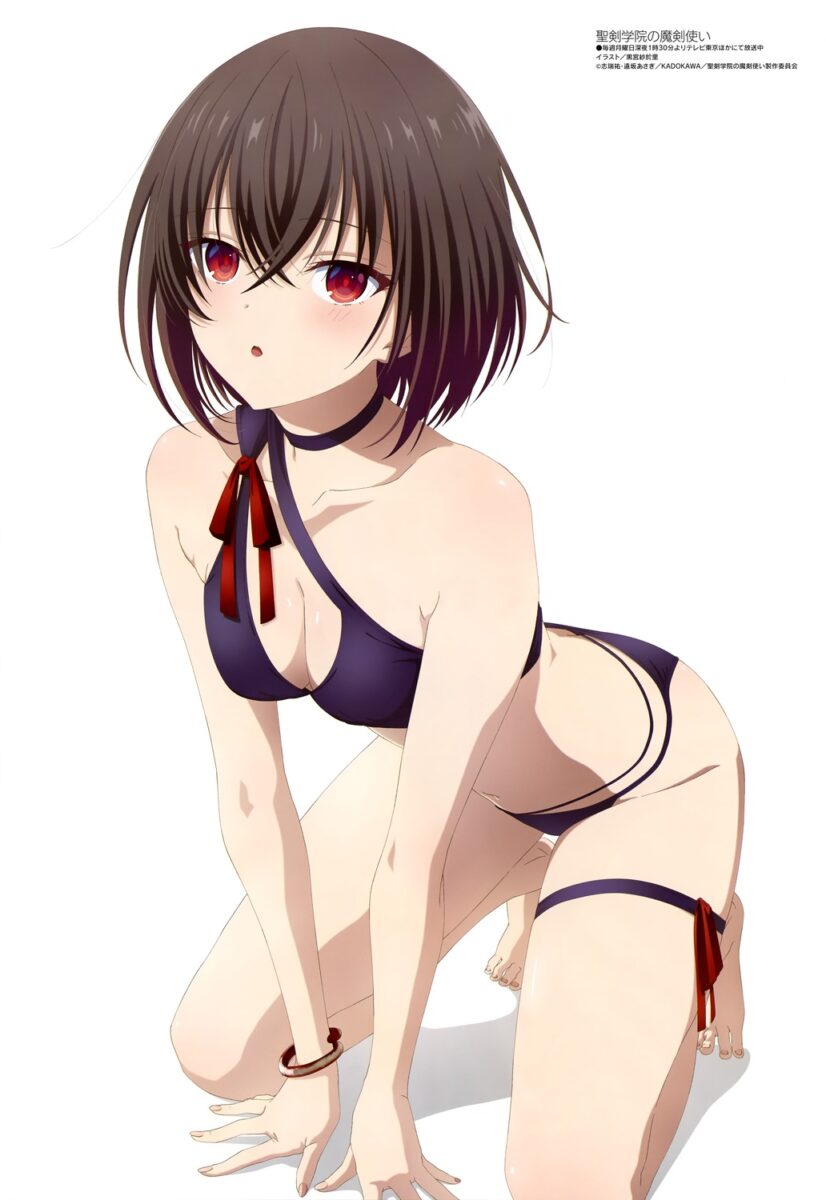 Shary Shadow Assassin Anime Poster