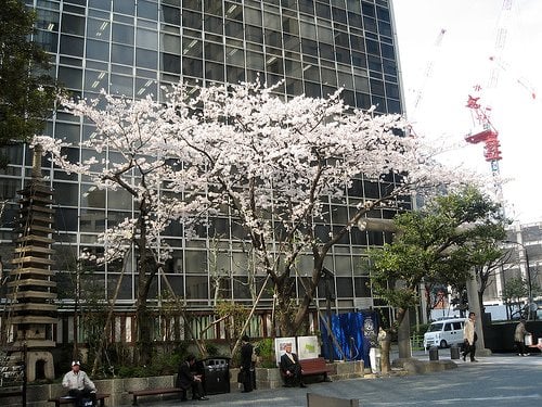 120622984 Af42e4f95c