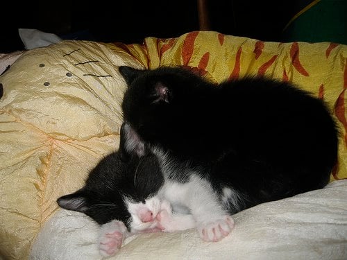 150850151 8460f38adc