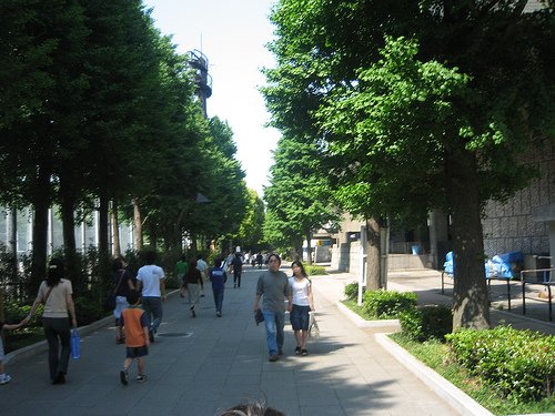 150848348 31382cabaf