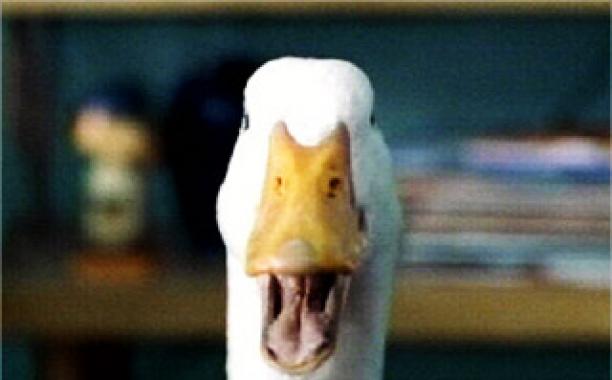 Confusingly noble business practices in Japan, ideas on gift-giving in Japanese society, and how cotton masks made $4 billion for AFLAC