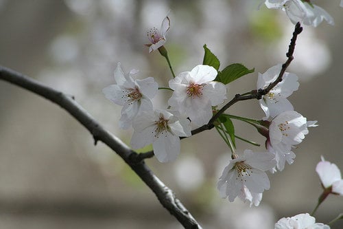 126973988 Add55a3e38