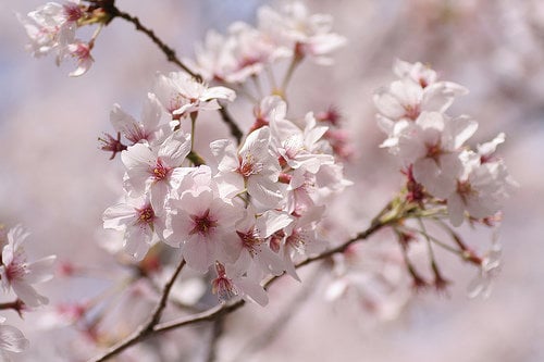 122279565 Eadbb001ee