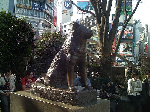 2353798799 Dbf39e72f9