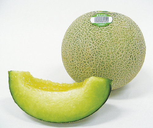 Melon2