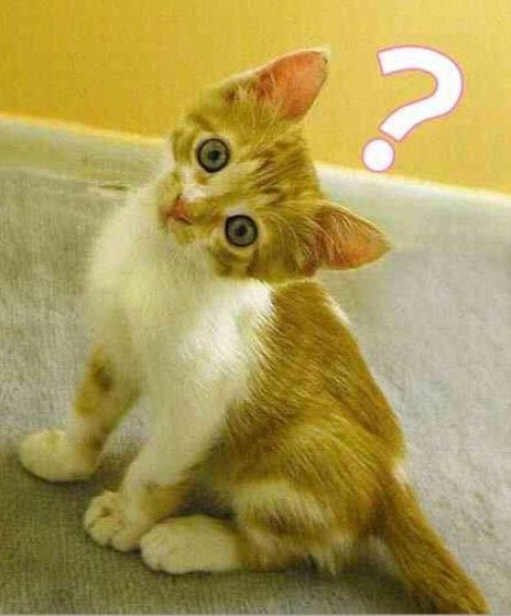 Screen Shot 2019 03 21 At 4.38.25 PM