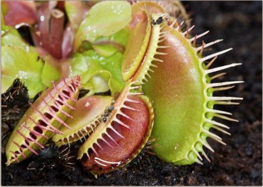 Screen Shot 2019 03 21 At 4.59.55 PM