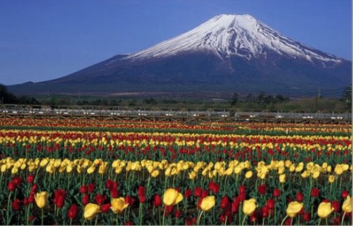 Screen Shot 2019 03 21 At 4.26.43 PM