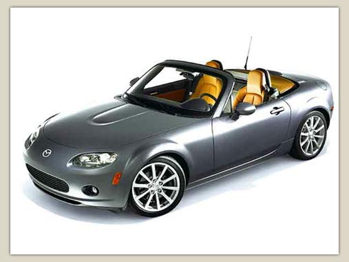 MA S017 F003 M001 1 Lb