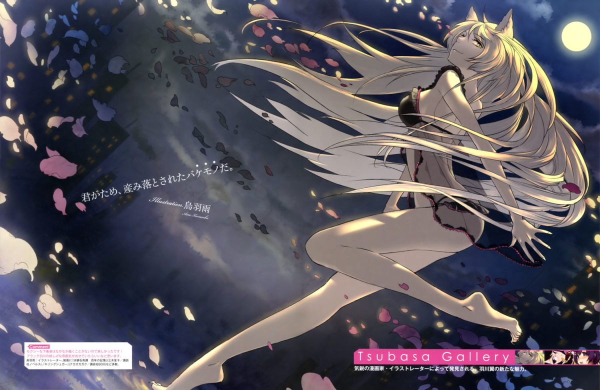 Monogatari Series Heroine Book Volume 1 Hanekawa Tsubasa 0004