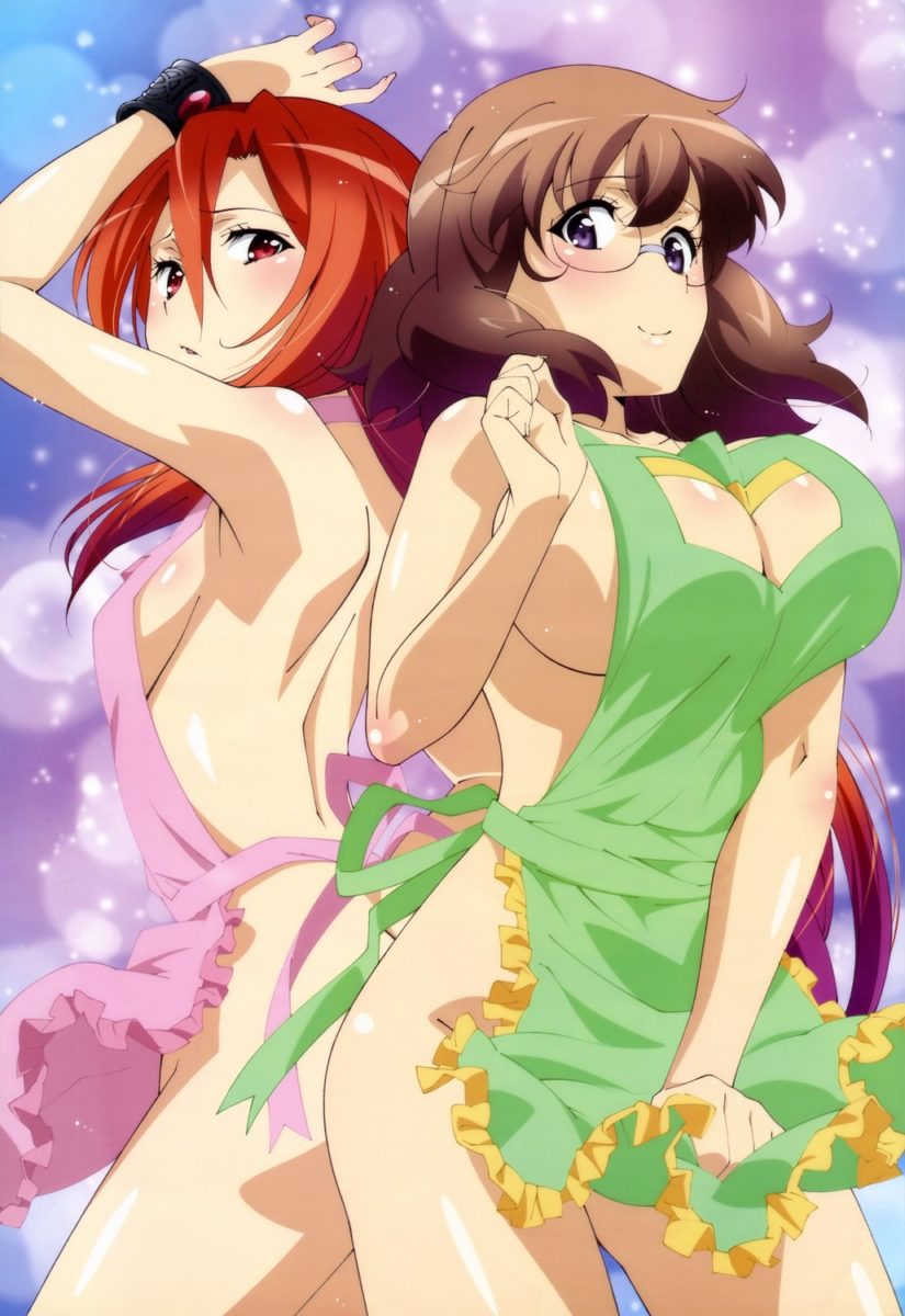 Dakara Boku Wa, H Ga Dekinai