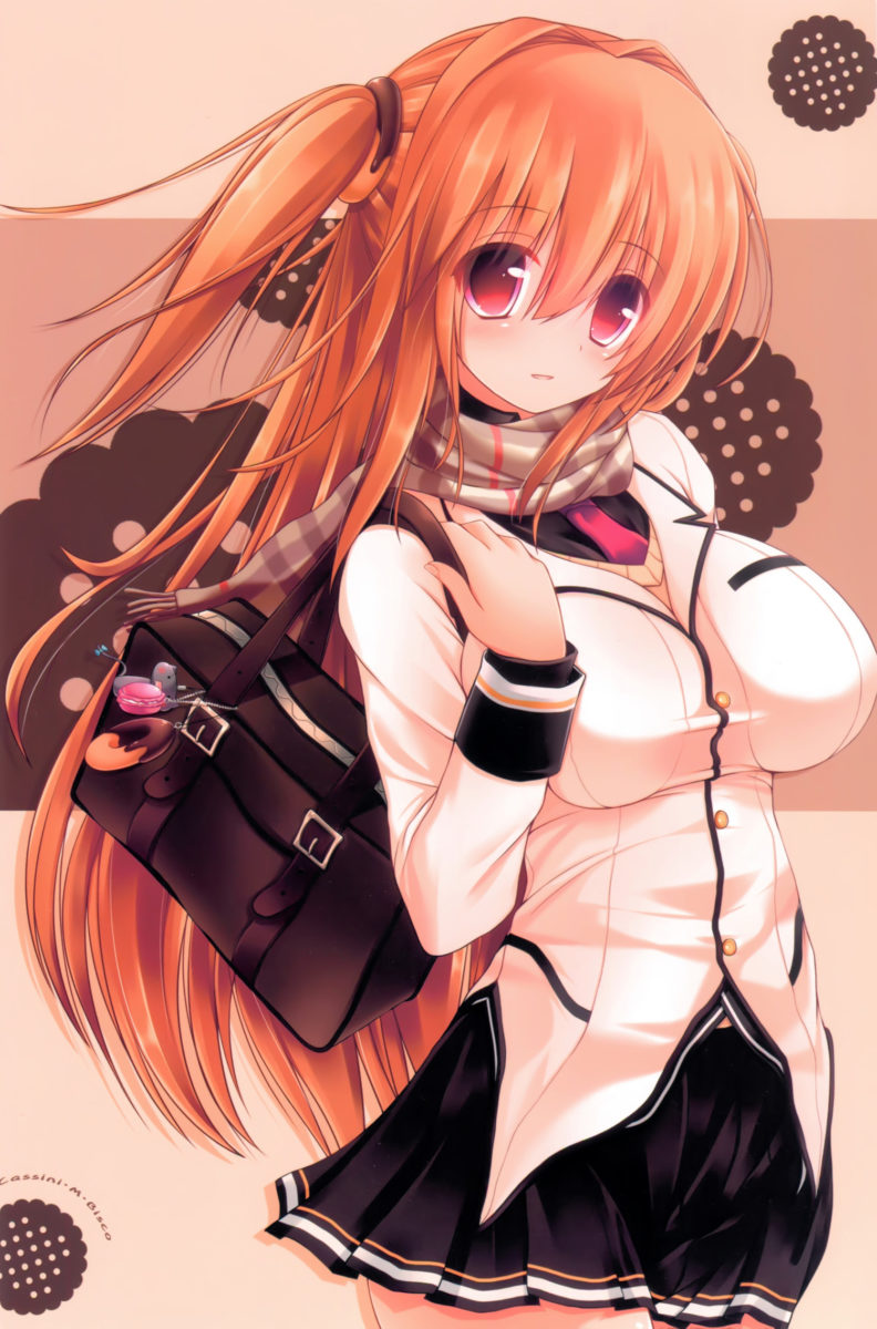 Fukuneko Biyori Syroh Artworks Art Book 0006