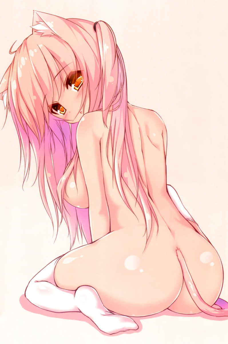 Fukuneko Biyori Syroh Artworks Art Book 0007