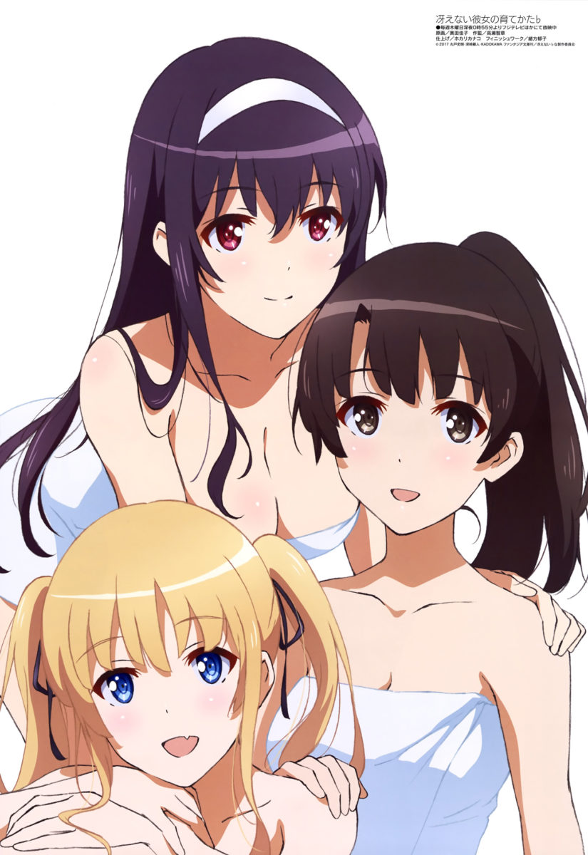 Megami MAGAZINE June 2017 Anime Posters Saenai Heroine No Sodatekata