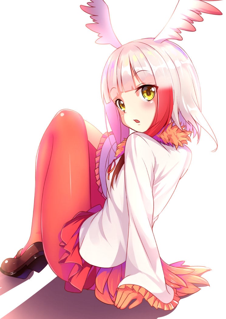 Top 10 Kemono Friends According To Japanese Anime Fans Crested Ibis