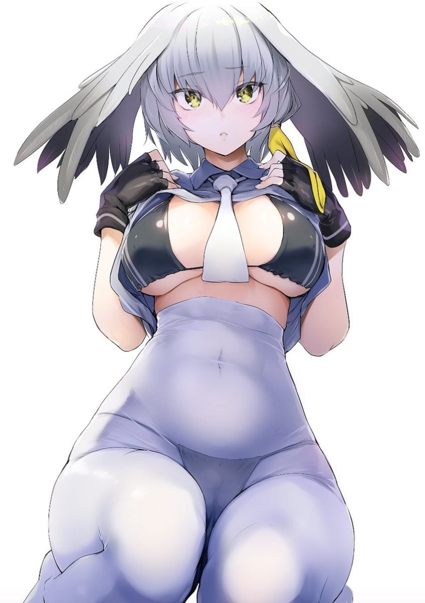 Top 10 Kemono Friends According To Japanese Anime Fans Shoebill
