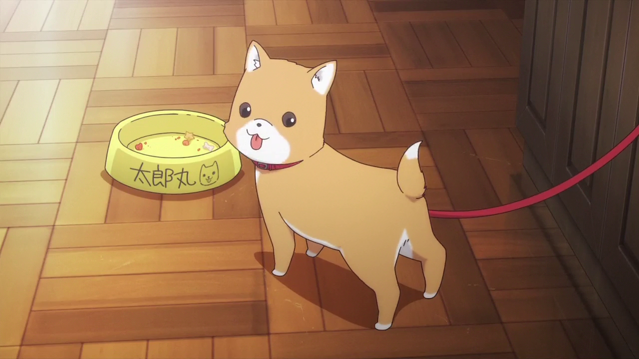 Gakkou Gurashi Taroumaru