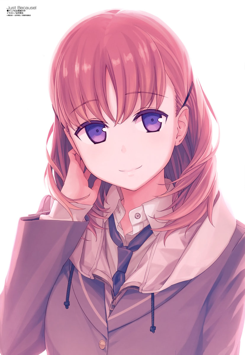 Megami MAGAZINE July 2017 Anime Posters Just Because!