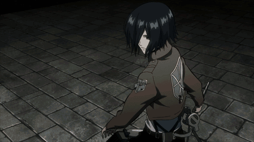 Attack On Titan Mikasa Ackerman
