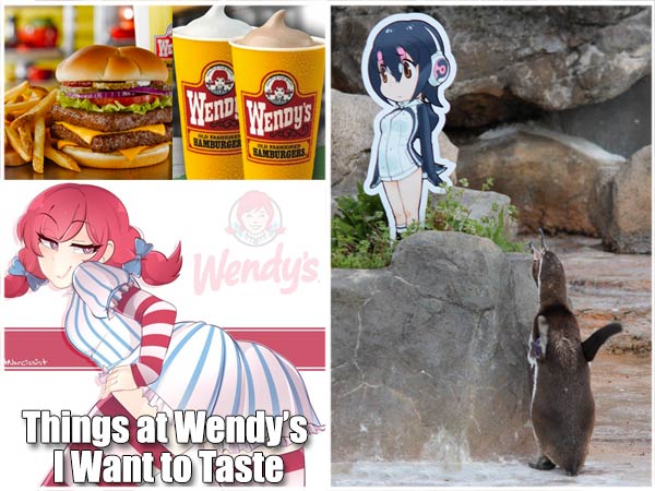wendy's smug meme and moe penguin