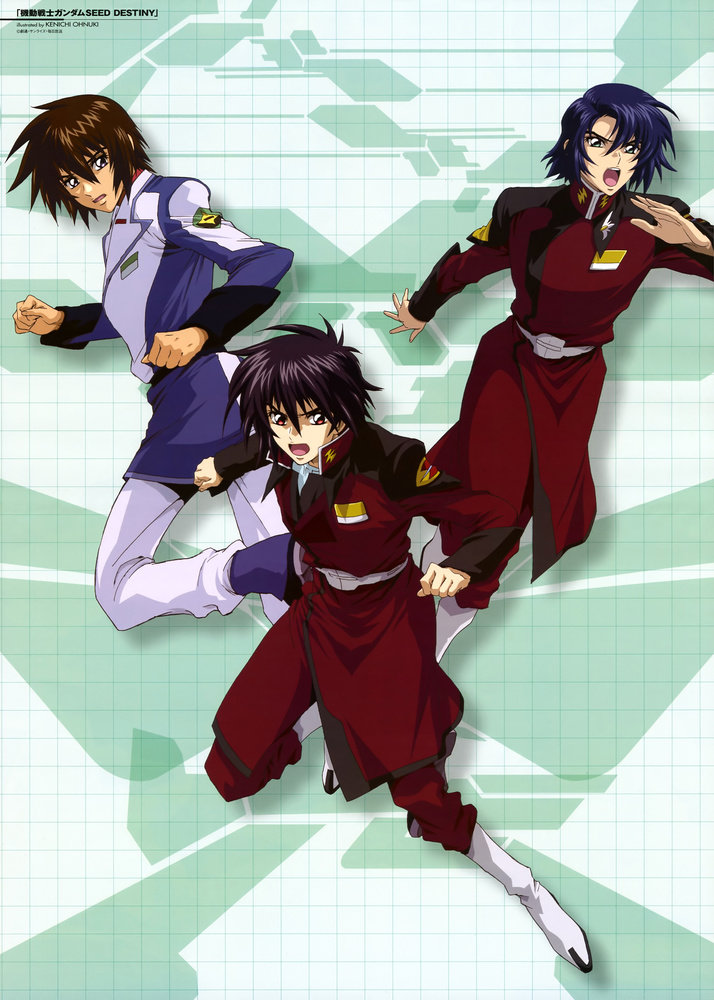 Mobile Suit Gundam Seed Destiny Shinn Asuka