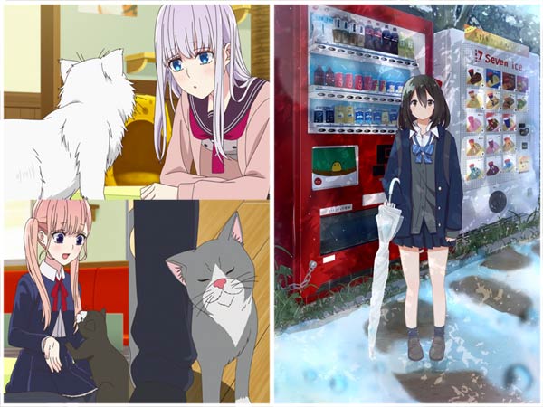 Why do Japanese people love cats so much