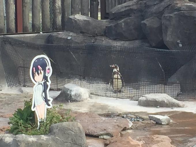 Grape Kun Behind A Fence