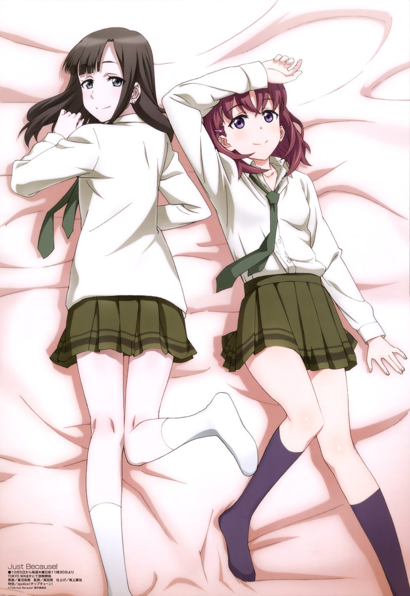 Megami MAGAZINE November 2017 Anime Posters Just Because!