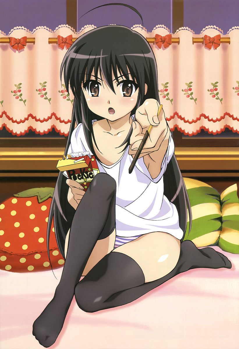 Pocky Day Shana