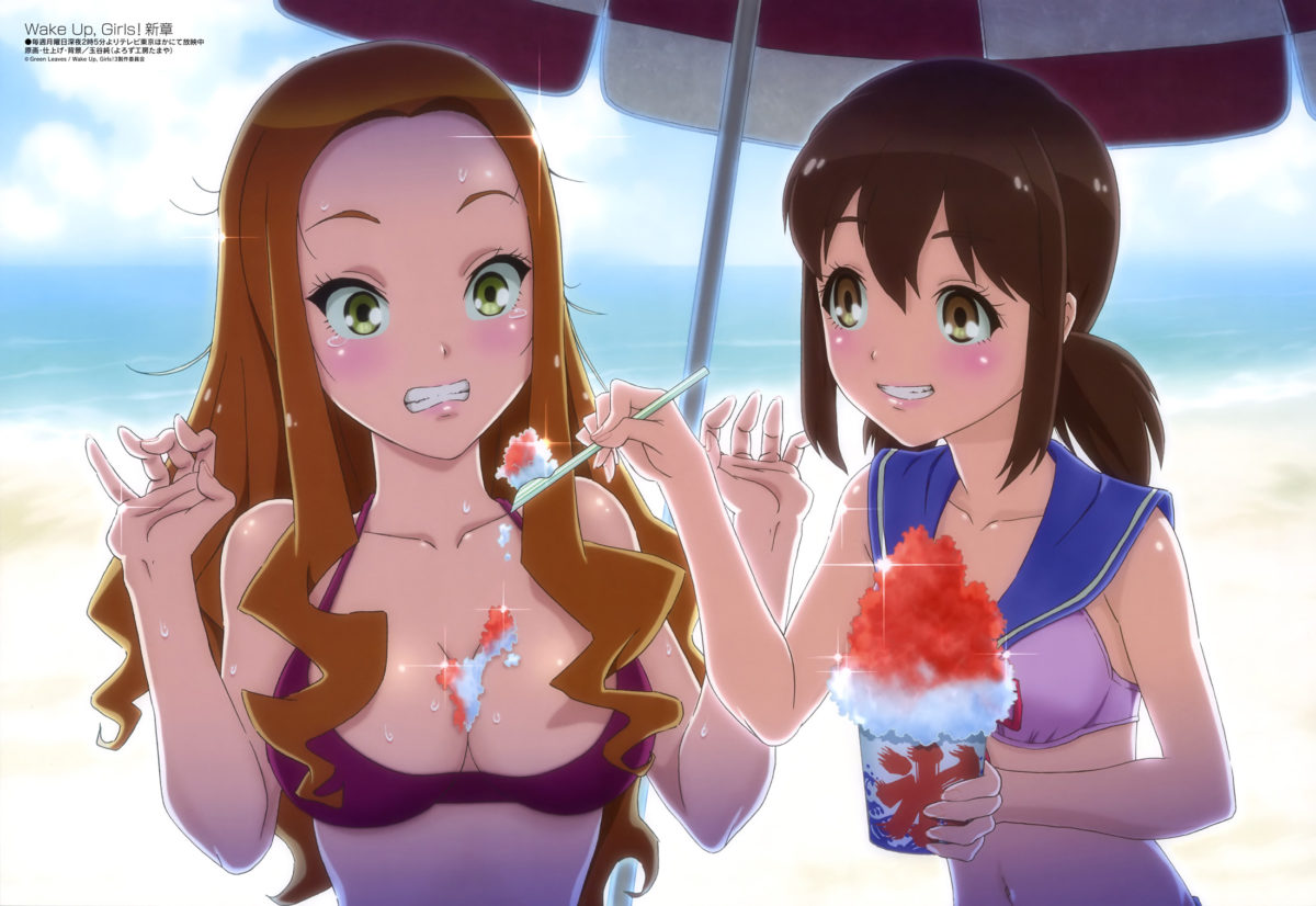 Megami MAGAZINE February 2018 Anime Posters Wake Up Girls!