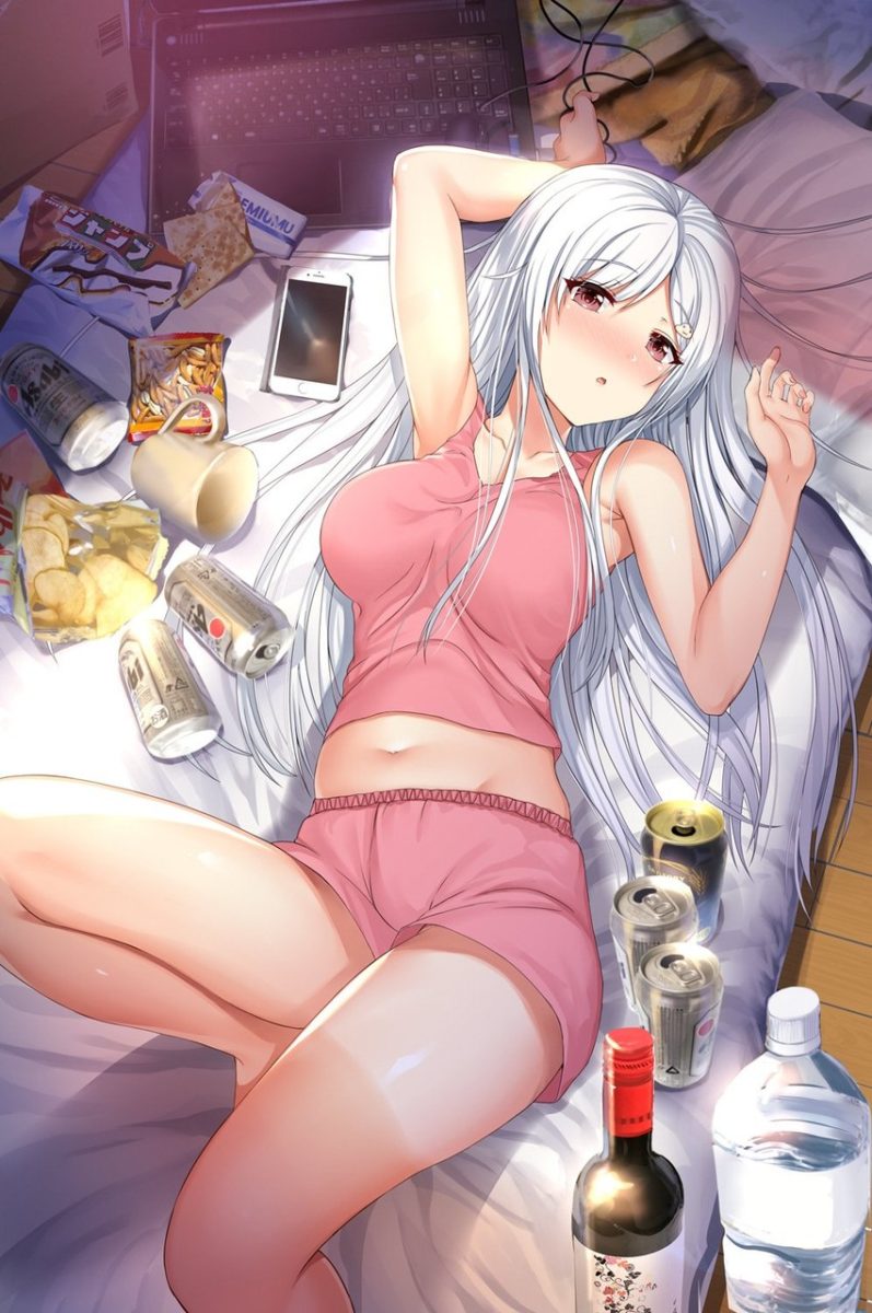 Daily Life Of NEET Chan Volume 2 Niiko Matome By Aldehyde 1