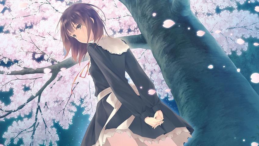 Steam Sale What Jast Usa Gams Should You Get 1