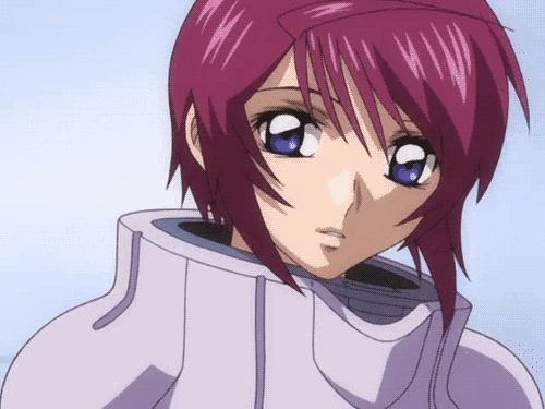 Mobile Suit Gundam SEED Destiny Lunamaria Hawke