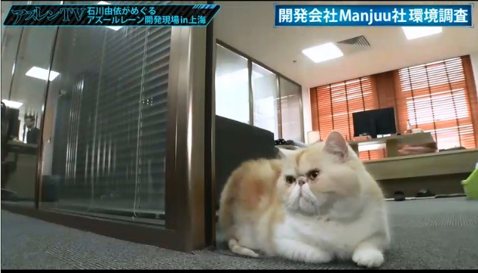 Azur Lane Developer Is An Incredibly Beautiful Young Woman 4