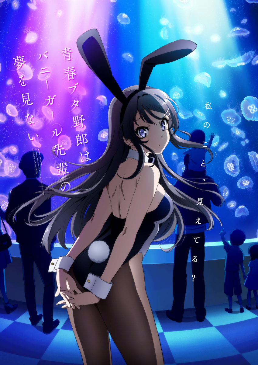 Seishun Buta Yarou Wa Bunny Girl Senpai No Yume Wo Minai Anime Key Visual